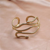 Accessorio per braccio serpente